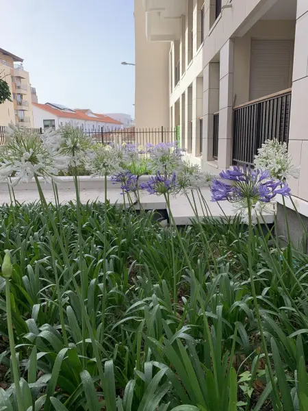Appartement Moderne à Marseille avec Balcon et Vue sur Jardin - Photo 3