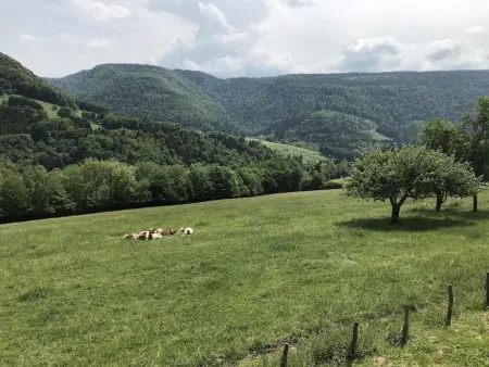 Maison chaleureuse à Vaucluse avec jardin spacieux 84 m² - Photo 3