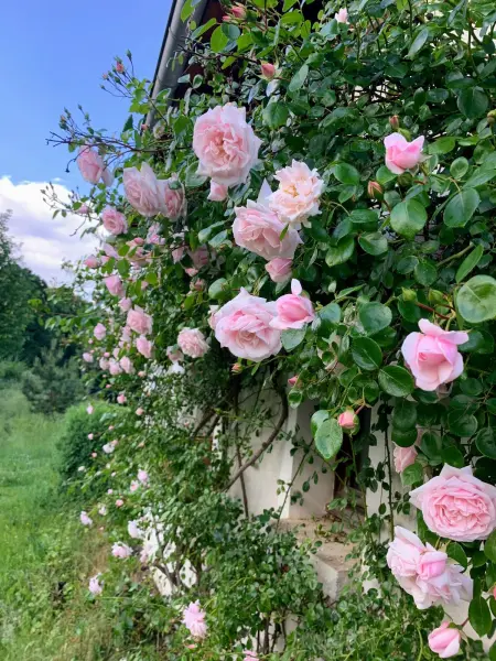 Maison chaleureuse à Vaucluse avec jardin spacieux 84 m² - Photo 7