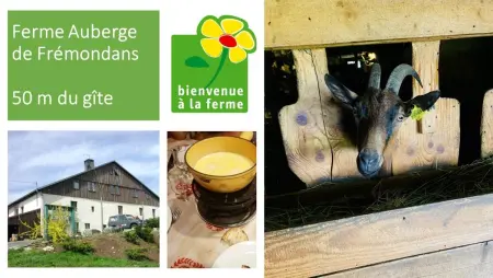 Maison chaleureuse à Vaucluse avec jardin spacieux 84 m² - Photo 34