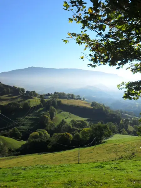Maison de charme dans le Parc des Volcans d'Auvergne avec terrasse - Photo 13