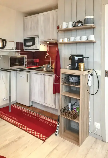Studio chaleureux à Uvernet-Fours, 25m² avec vue montagne - Photo 6