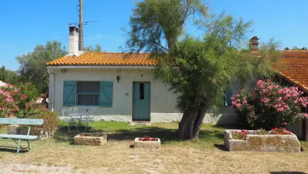 Charmante maison en Camargue avec piscine partagée - Photo 22