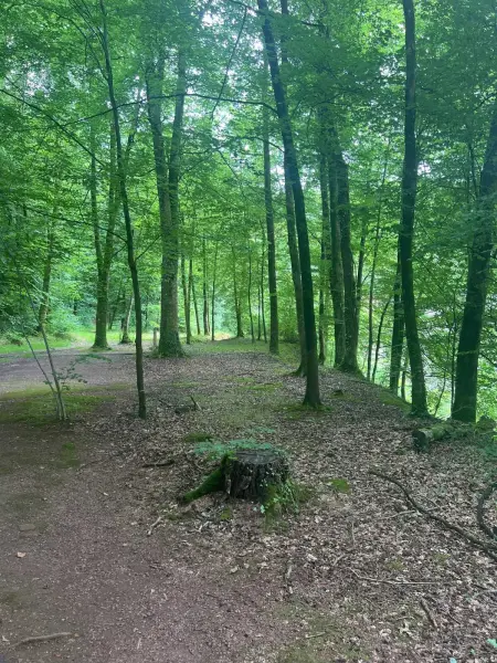 Studio charmant à La Ferrière-aux-Étangs, 27 m², avec Spa - Photo 17
