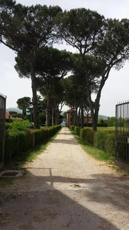 Évasion Exquise à Segni, Villa 24 personnes à Segni - Photo 42