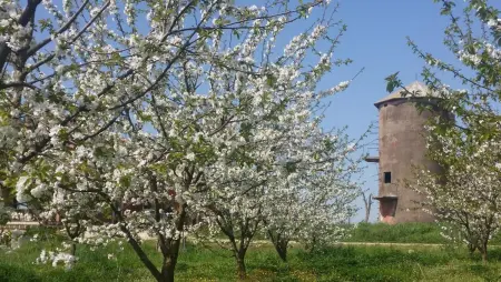 Évasion Exquise à Segni, Villa 24 personnes à Segni - Photo 45