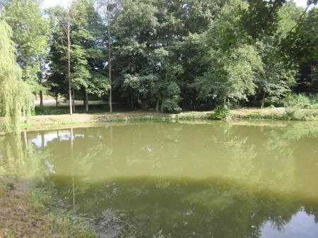 Maison avec spa à They-Sous-Montfort, accueillant et moderne - Photo 69