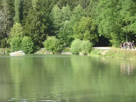 Maison avec spa à They-Sous-Montfort, accueillant et moderne - Photo 89