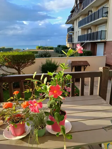 Appartement charmant avec vue sur la mer à Cabourg - 30 m² - Photo 16