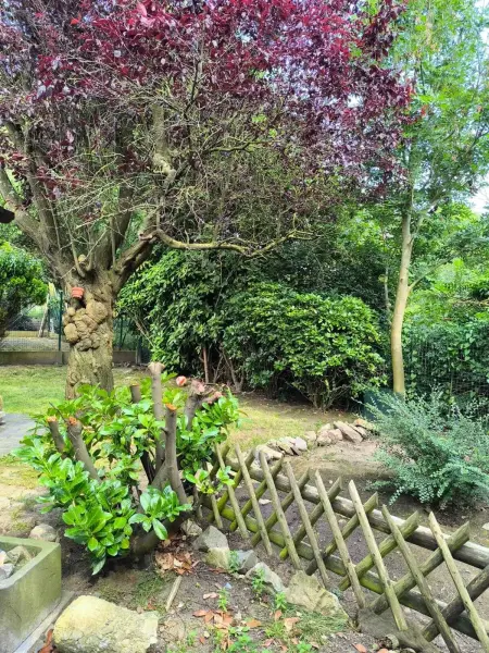 Maison charmante à Hoegaarden avec barbecue et jardin - Photo 20