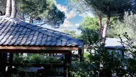 Bungalow paisible à Agde avec piscine partagée - Photo 4