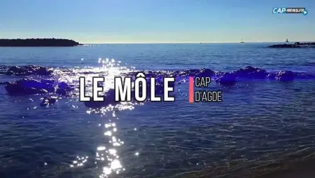 Bungalow paisible à Agde avec piscine partagée - Photo 27