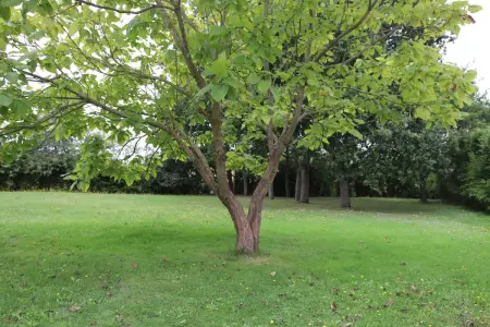 Maison charmante près de Sains avec spa et jardin clos - Photo 12