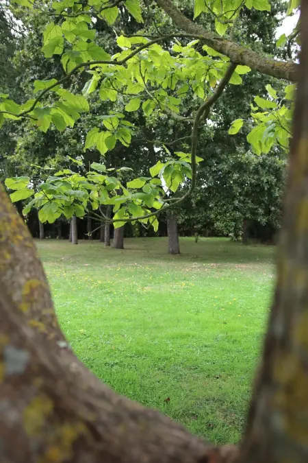 Maison charmante près de Sains avec spa et jardin clos - Photo 13