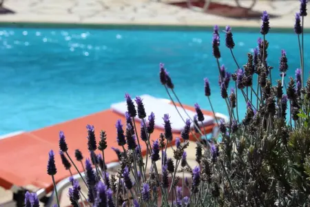 Villa de Charme à Lefkada avec Piscine Privée, Villa 6 personnes à Lefkada - Photo 29
