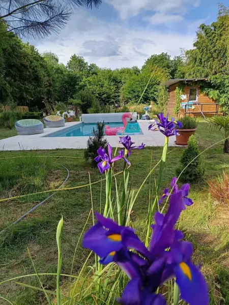 Villa élégante à Château-la-Vallière avec piscine privée - Photo 34