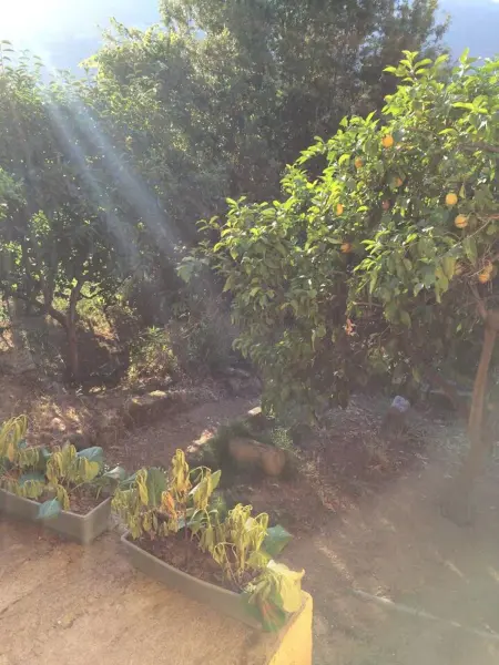 Maison de charme à Ajaccio avec terrasse et jardin - Photo 12