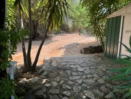 Maison de charme à Ajaccio avec terrasse et jardin - Photo 18
