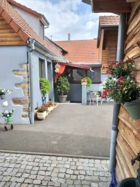 Appartement cosy Wintzenheim + terrasse, Appartement 2 personnes à Wintzenheim - Photo 4