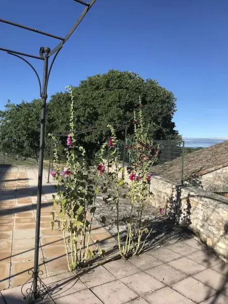 Location chaleureuse à Orgnac-l'Aven avec piscine partagée - Photo 26