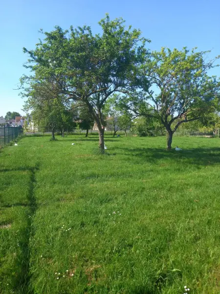 Maison charmante à Chepy avec jardin et piste de pétanque - Photo 15