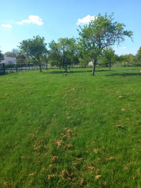 Maison charmante à Chepy avec jardin et piste de pétanque - Photo 16