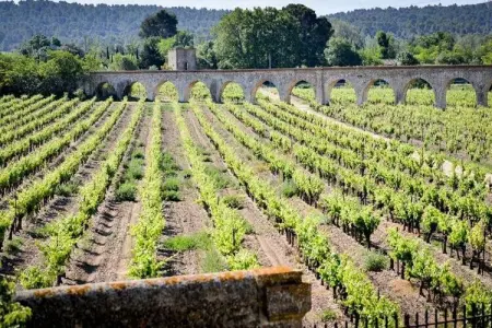 Résidence Le Château de Jouarres ***, Studio 2 personnes - Photo 14