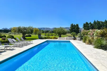 Mas De Pani&egrave;re - Saint Remy De Provence, Maisons & Villas pour 14 Personnes - Photo 6