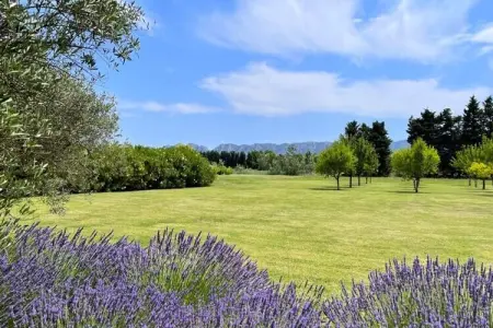 Mas De Pani&egrave;re - Saint Remy De Provence, Maisons & Villas pour 14 Personnes - Photo 10