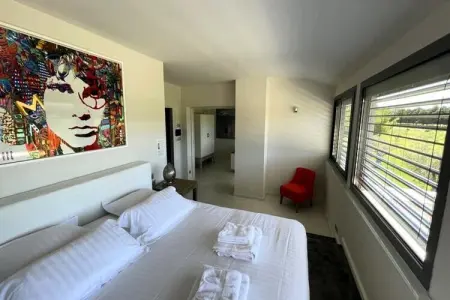 Mas De Pani&egrave;re - Saint Remy De Provence, Maisons & Villas pour 14 Personnes - Photo 16