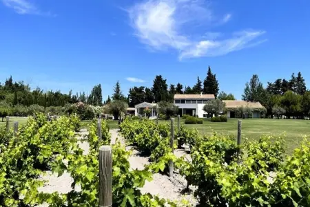 Mas De Pani&egrave;re - Saint Remy De Provence, Maisons & Villas pour 14 Personnes - Photo 49
