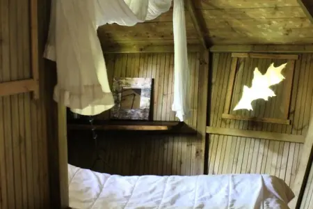 Parc de la Belle, Cabane de la Canopיe 3 personnes - Photo 14