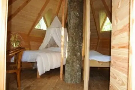 Parc de la Belle, Cabane des Ecureuils 4 personnes - Photo 12