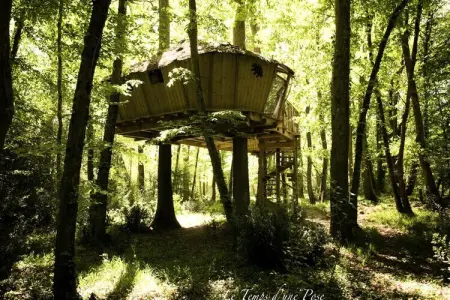 Parc de la Belle, Cabane des Chimpanzיs 4 personnes - Photo 12