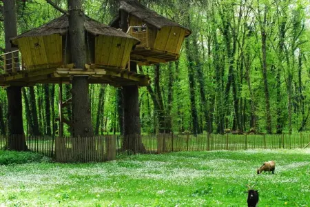 Parc de la Belle, Cabanes familiales des Ouistitis 6 personnes - Photo 18