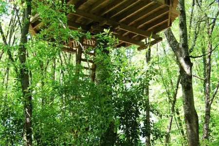 Parc de la Belle, Cabane de la Hulotte 2 personnes - Photo 18