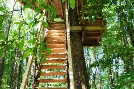 Parc de la Belle, Cabane de la Belle 2 personnes - Photo 12