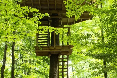 Parc de la Belle, Cabane de la Belle 2 personnes - Photo 16