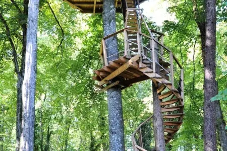 Parc de la Belle, Cabane des Lיmuriens 2 personnes - Photo 12