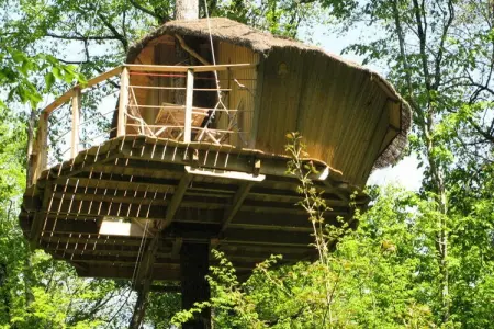 Parc de la Belle, Cabane des Gibbons 2 personnes - Photo 12