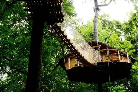 Parc de la Belle, Cabane des Gibbons 2 personnes - Photo 13