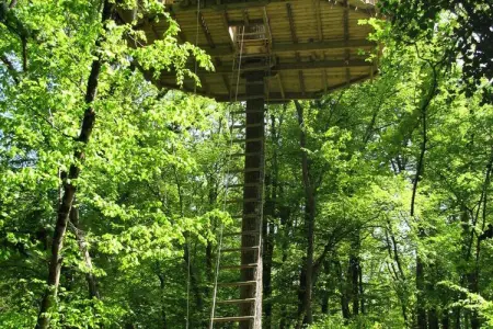 Parc de la Belle, Cabane des Gibbons 2 personnes - Photo 17