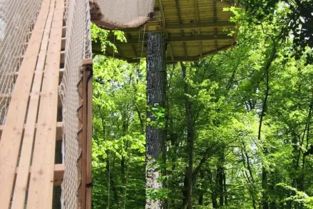 Parc de la Belle, Cabane des Gibbons 2 personnes - Photo 18