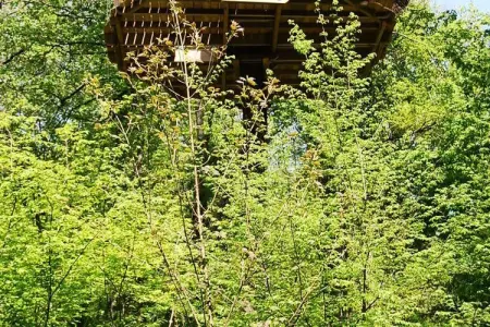 Parc de la Belle, Cabane des Gibbons 2 personnes - Photo 19