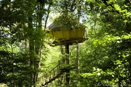 Parc de la Belle, Cabane Amazonie 2 personnes - Photo 12