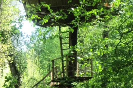 Parc de la Belle, Cabane Amazonie 2 personnes - Photo 15