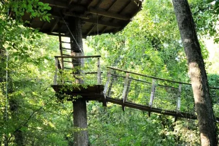 Parc de la Belle, Cabane Amazonie 2 personnes - Photo 16
