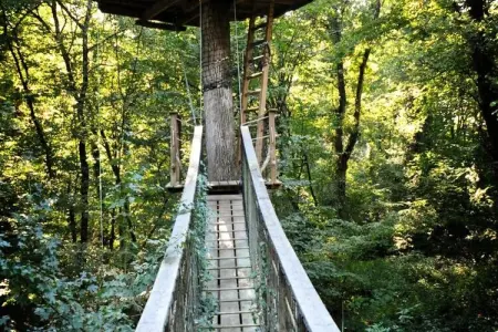 Parc de la Belle, Cabane Amazonie 2 personnes - Photo 17
