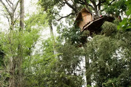Parc de la Belle, Cabane des Buis 2 personnes - Photo 17
