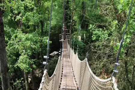 Parc de la Belle, Cabane des Buis 2 personnes - Photo 18